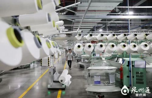 數據出爐，鯉城全力打造“世遺萬國商”設計服務新高地